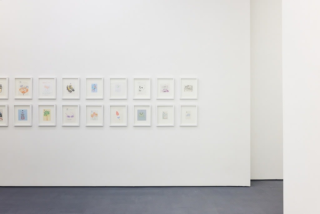 Photograph of Michael McGregor's drawings installed at the New York gallery space