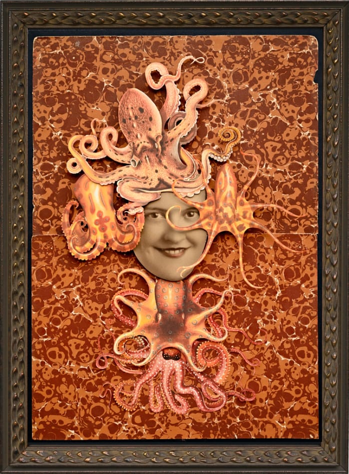 Hope Kroll, In Plain Sight, 2019