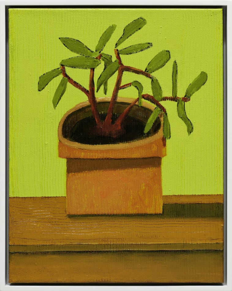 Gabe Langholtz, Houseplant, 2022