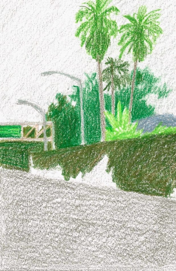 sketch of a palm trees and streetlights
