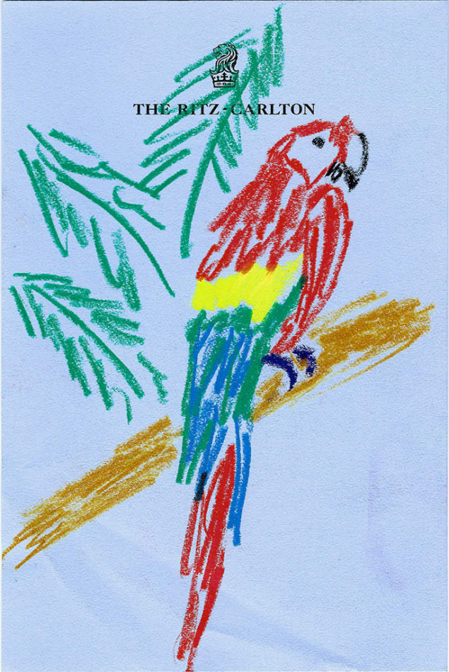 Drawing of a red parrot on a tree branch on blue hotel stationery