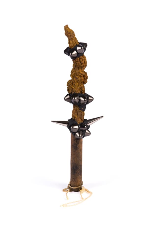Lucien Shapiro, Coprolites Protection Shank 2, 2017