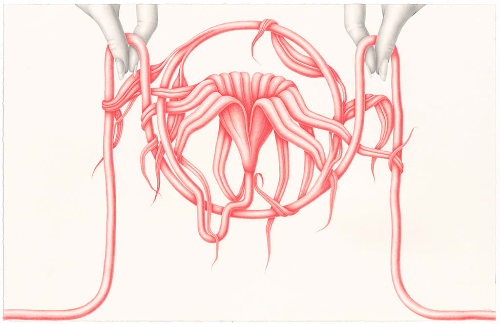Devra Fox - pink and black graphite drawing of two hands holding each side of a stem that in between them grow the flower and leaves.