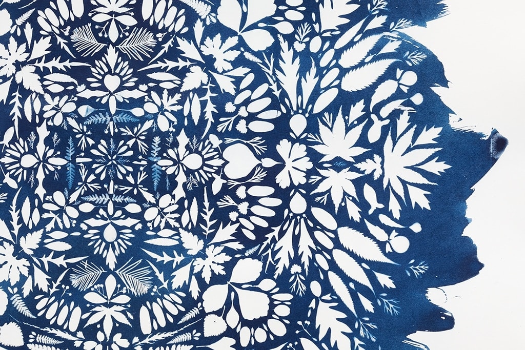 Detail of Hillary Waters Fayle cyanotype - blue with leaves