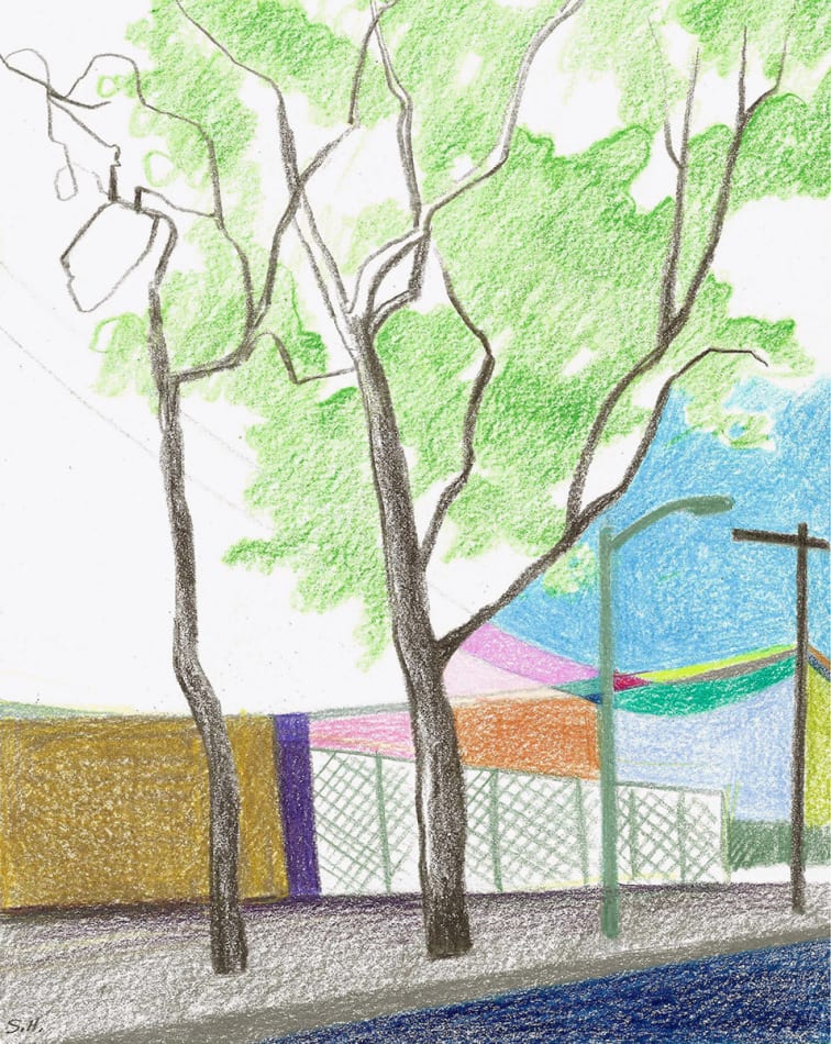 sketch two trees on a sidewalk with street lamps