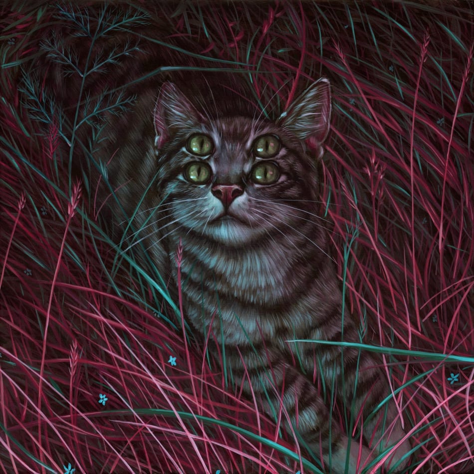 Casey Weldon gray striped four eyed cat