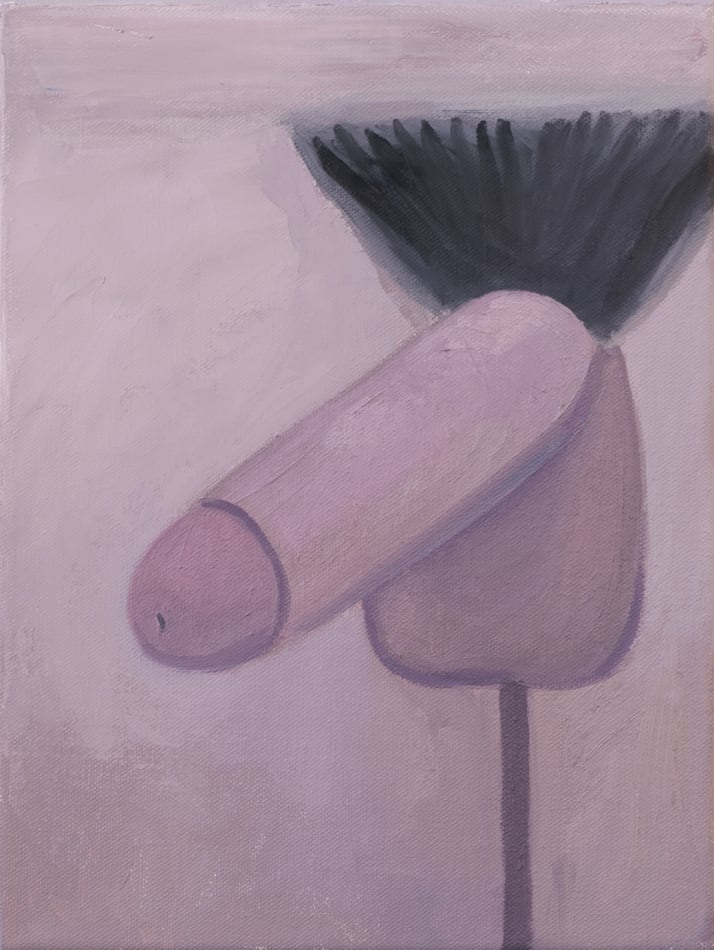 Corey K. Lamb - stylized pink penis