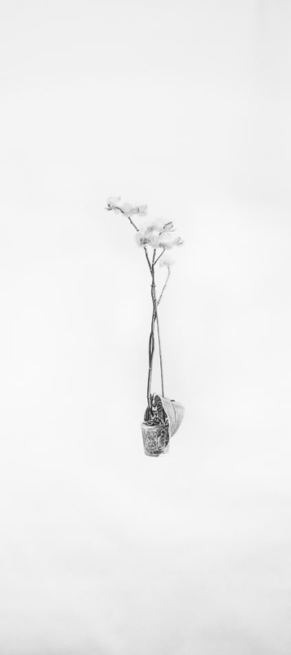 Joel Daniel Phillips, Billy #5 & Billy's Orchid (Diptych), 2016
