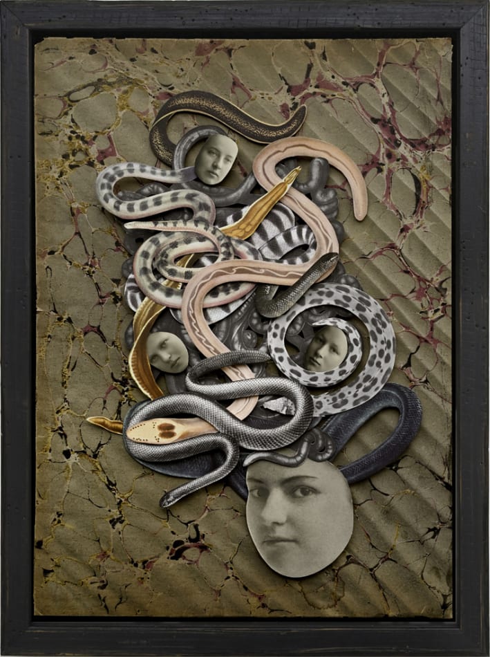 Hope Kroll, Medusa, 2019