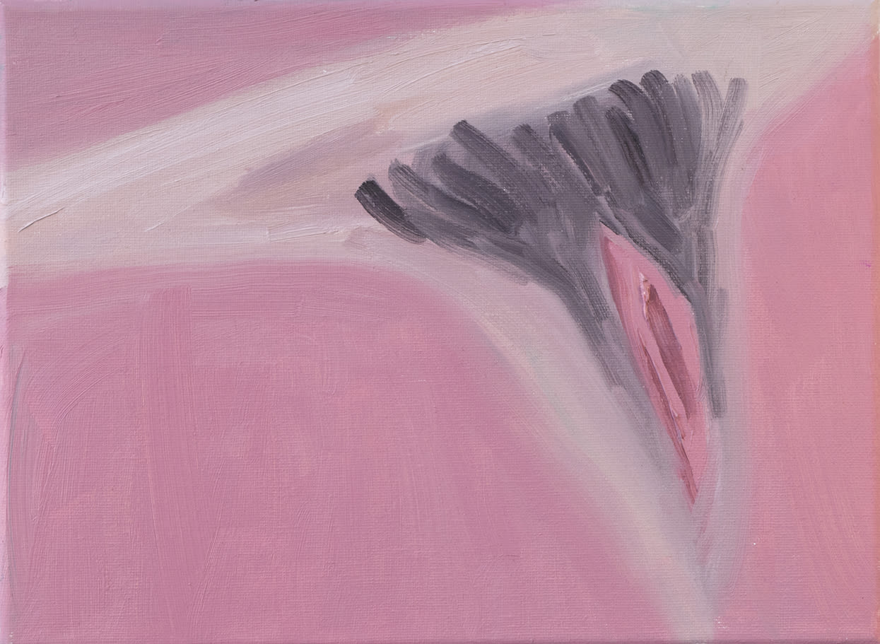 Corey K. Lamb - stylized, pink vulva