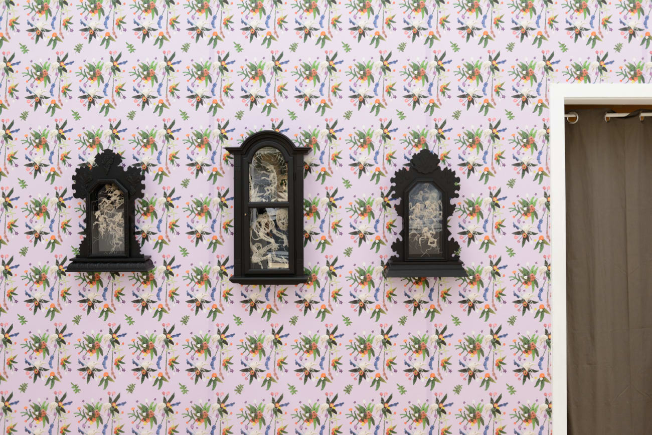 Caitlin McCormack, Boy Now, 2019