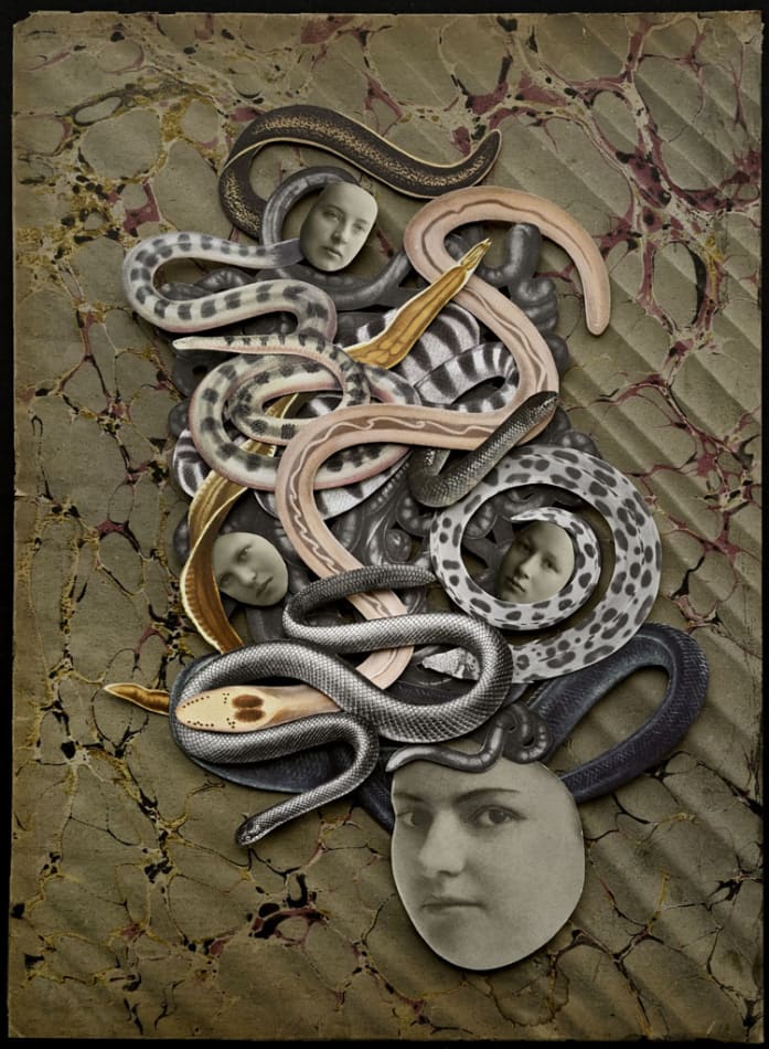 Hope Kroll, Medusa, 2019