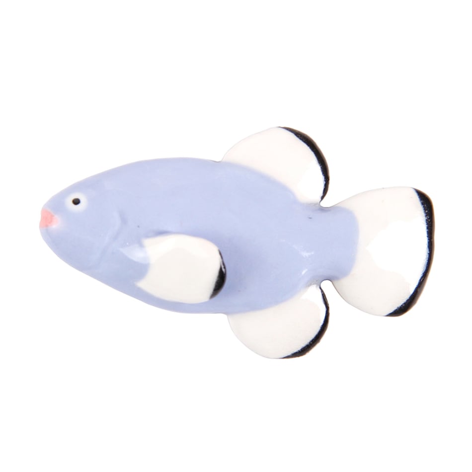Lorien Stern, The Devil's Hole Pup Fish, 2020