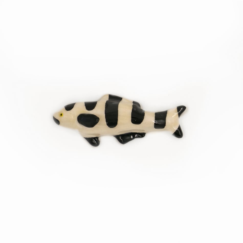 Lorien Stern, Speck, 2018