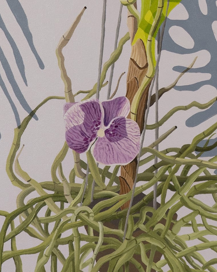 detail of Natalia Juncadella painting of orchid, plant and roots, shadows