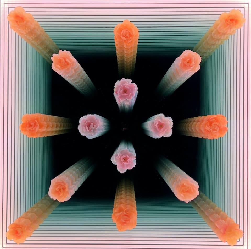 Peter Gronquist infinity mirror with pink and orange flowers