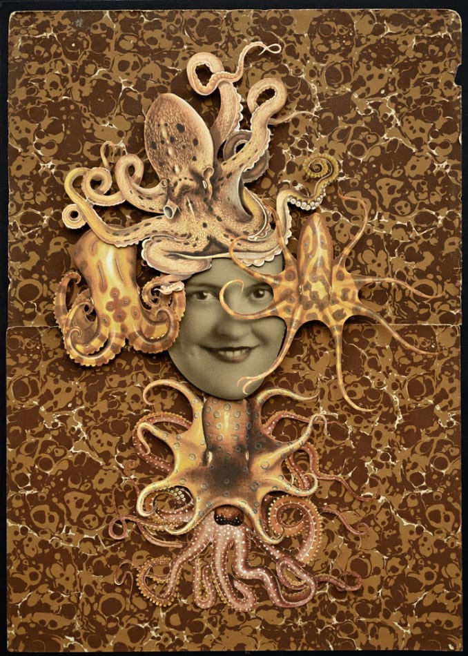 Hope Kroll, In Plain Sight, 2019