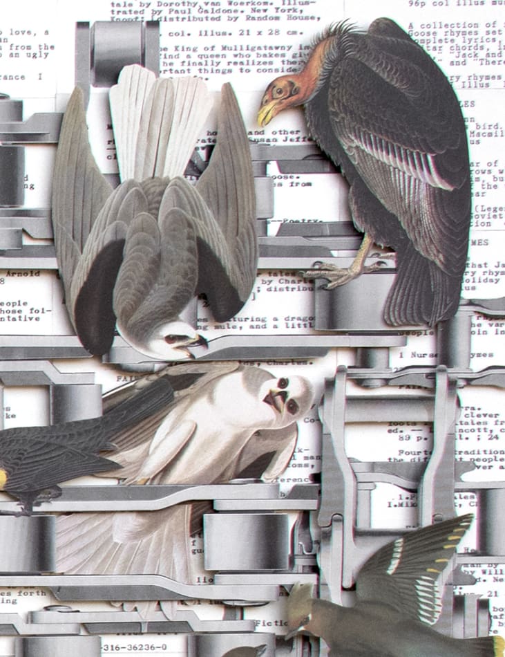Hope Kroll, Fairy Tales, 2018