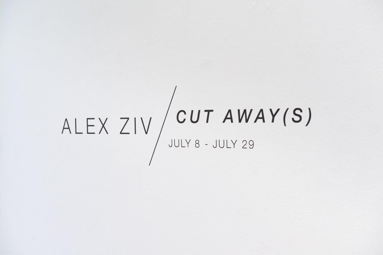 Alex Ziv - 