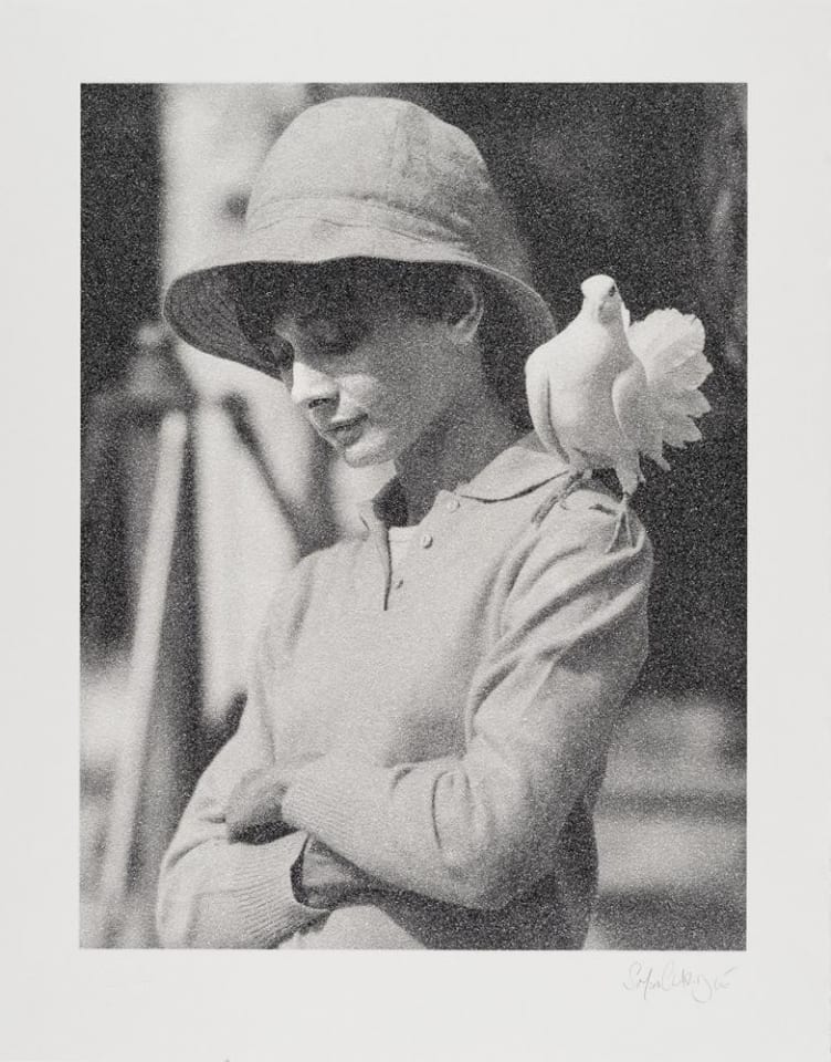 Simon Claridge, Hepburn with Dove