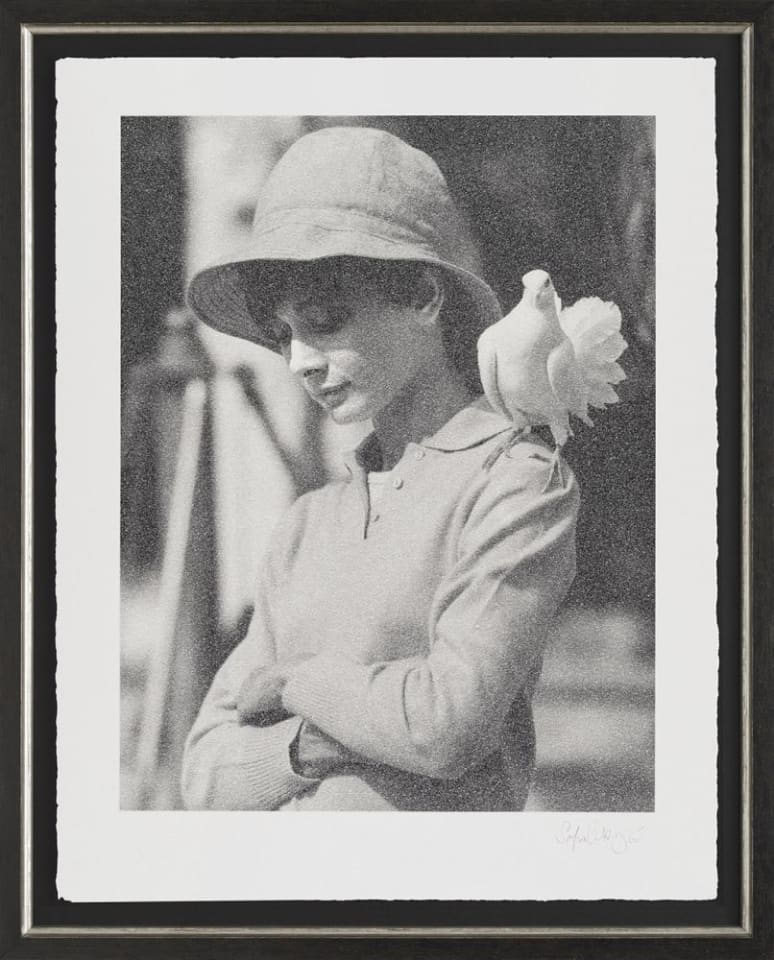 Simon Claridge, Hepburn with Dove