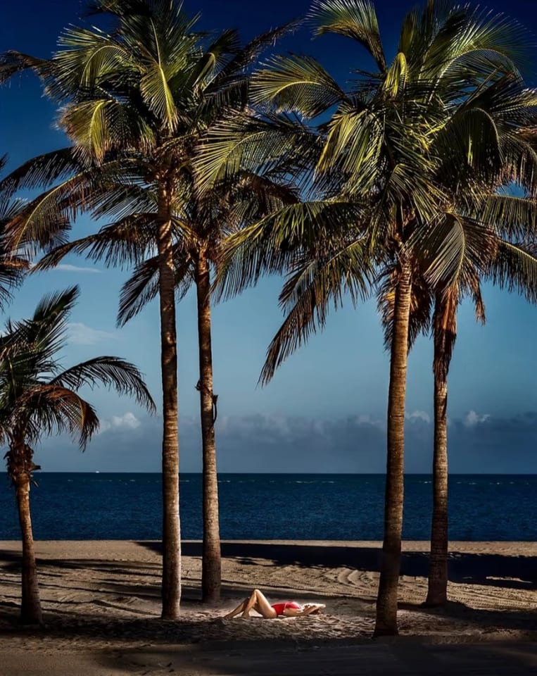 David Drebin, Golden Dream