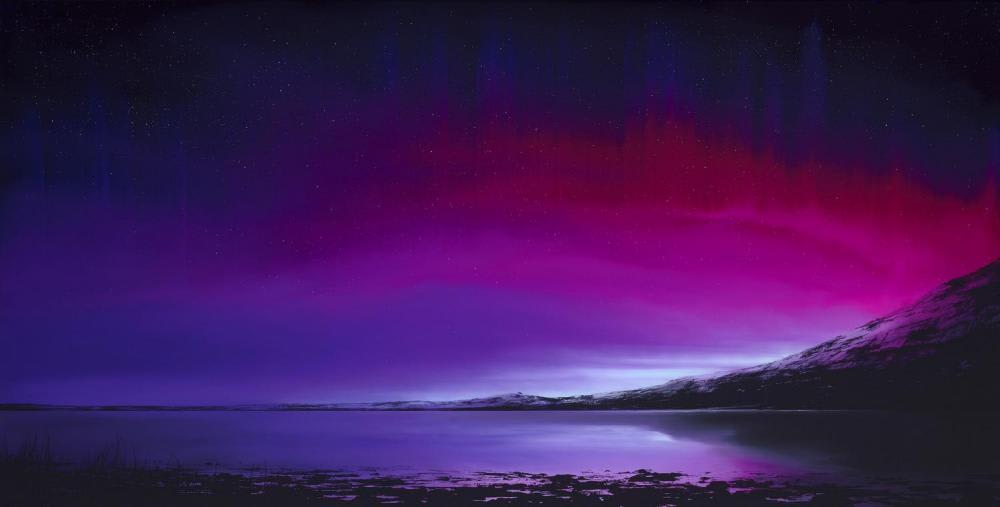 Richard Rowan, Fire Flies
