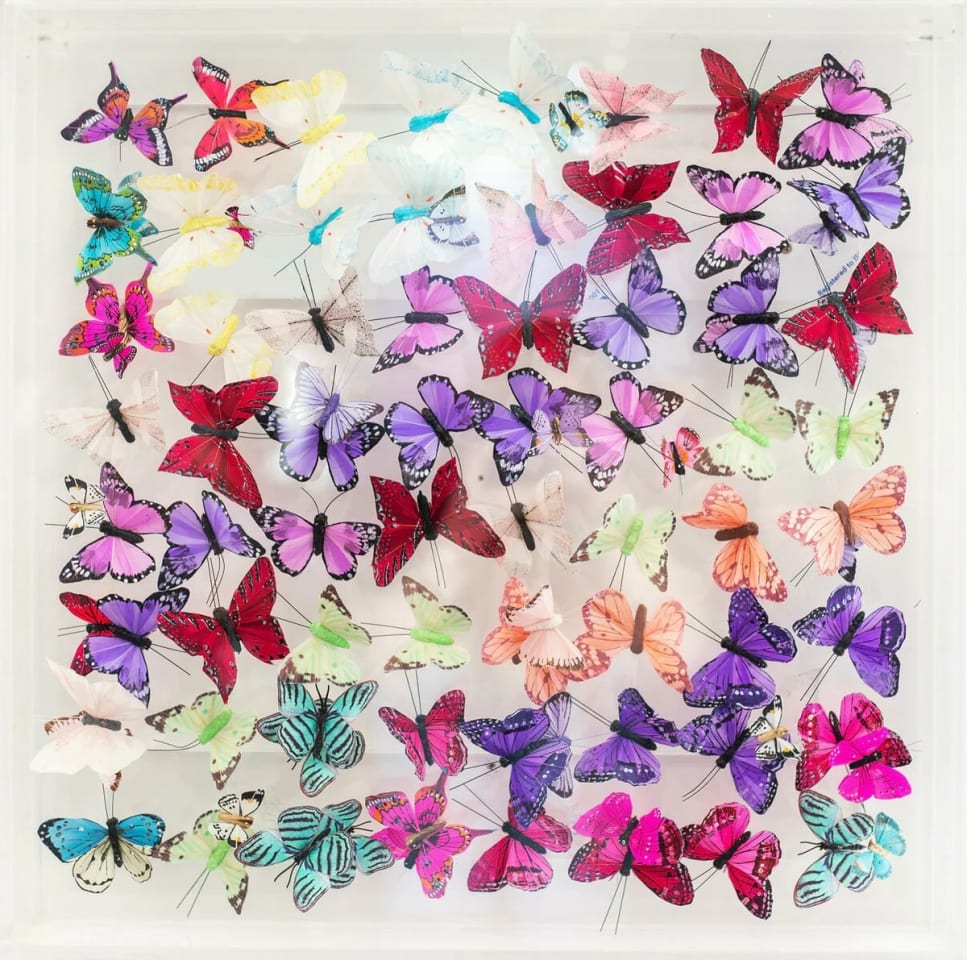 Michael Olsen, SUMMER BREEZE