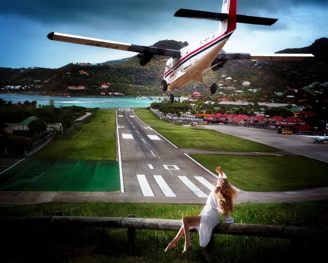 David Drebin, Risky Landing