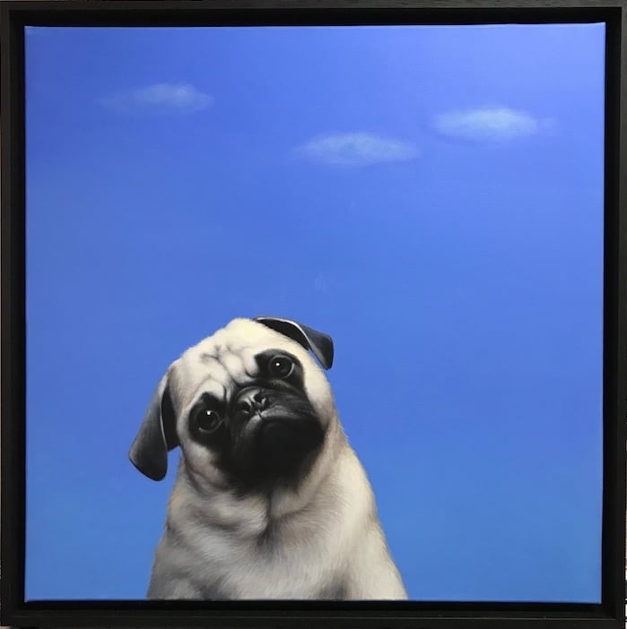 Sale, Lilia Mazurkevic - Pug