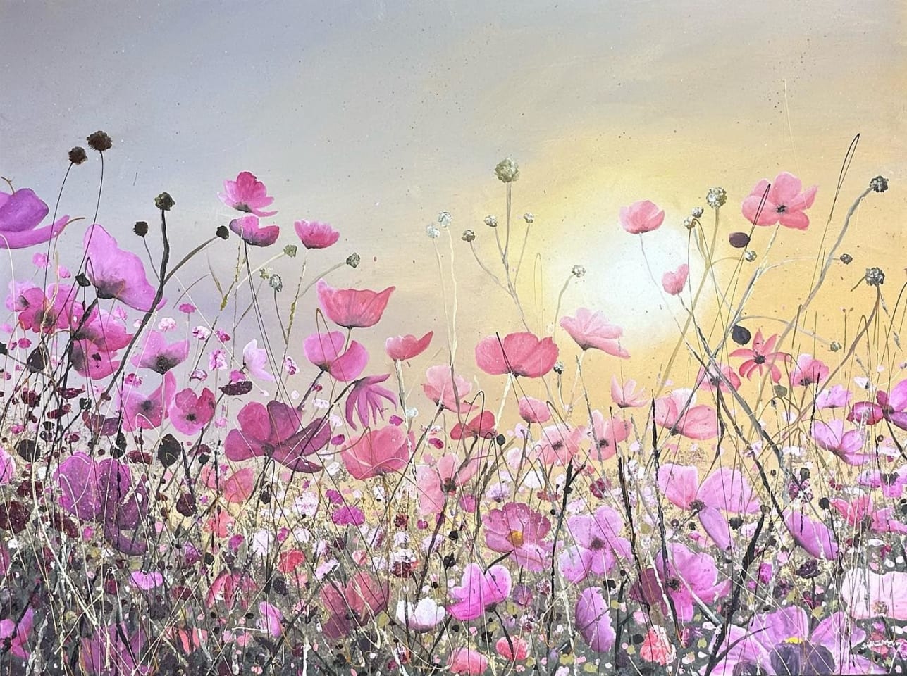 Siobhan McEvoy, Cosmos Flower Meadow at Sunset, 2024