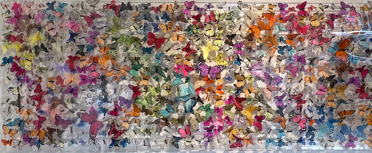 Michael Olsen, Papillon Deux Mille, 2021