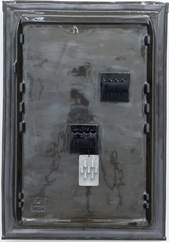 Monika Grabuschnigg, Single Fridge (Serum), 2023