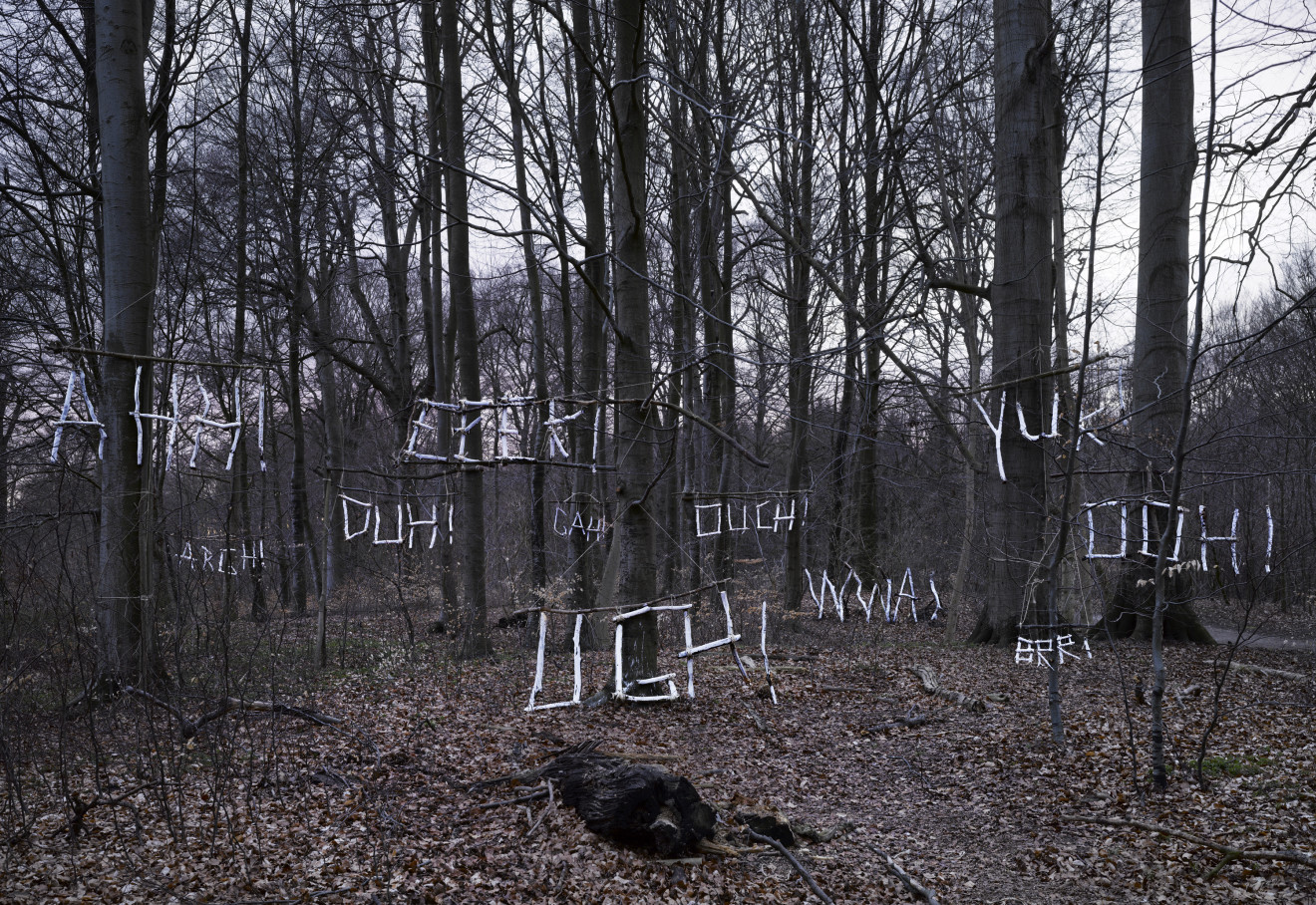 Olaf Breuning, Complaining forest, 2009
