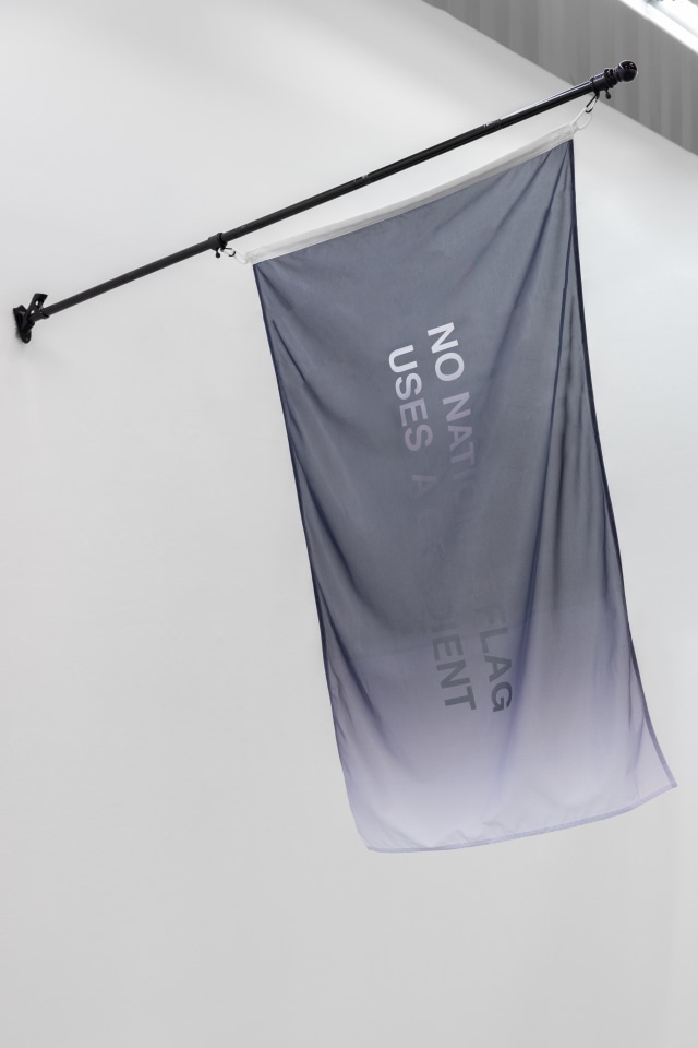 Anahita Razmi, NO NATIONAL FLAG USES A GRADIENT #1-8, 2022