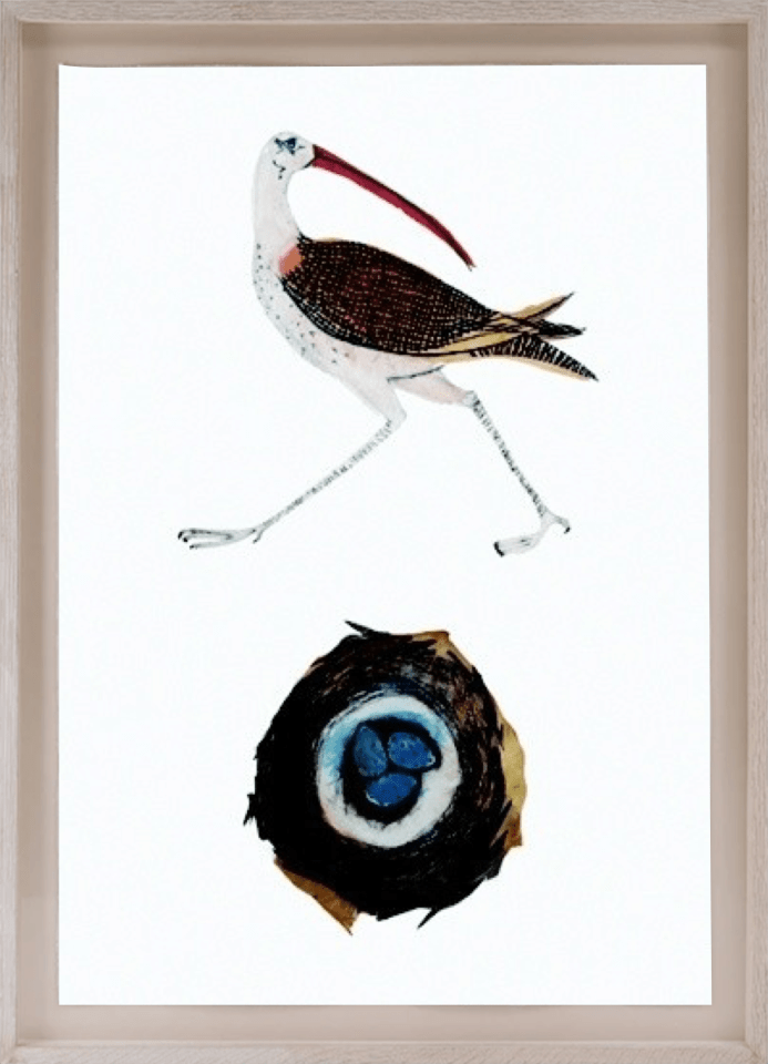 Beatrice Forshall Eskimo Curlew Framed Cricket Fine Art