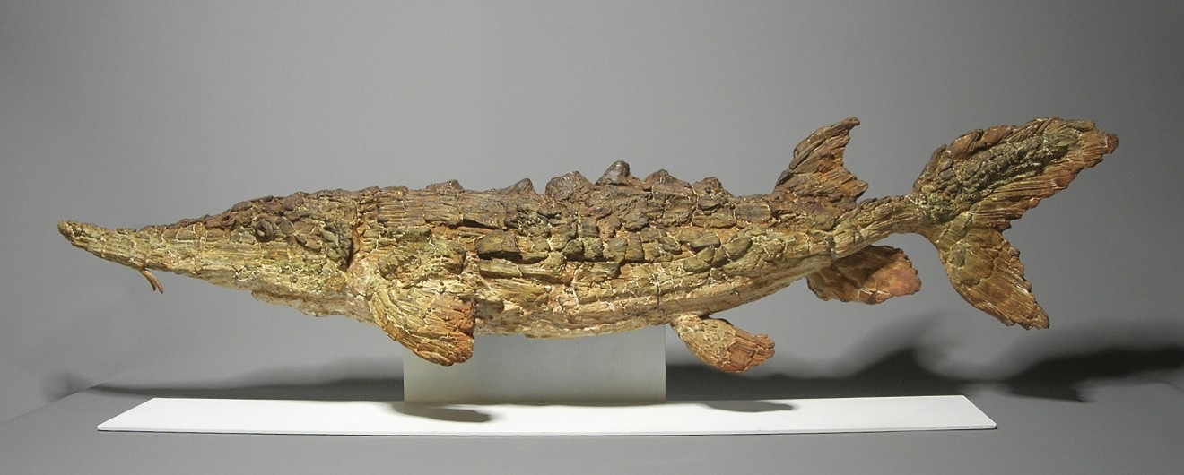 Pieter Vanden Daele, Sturgeon