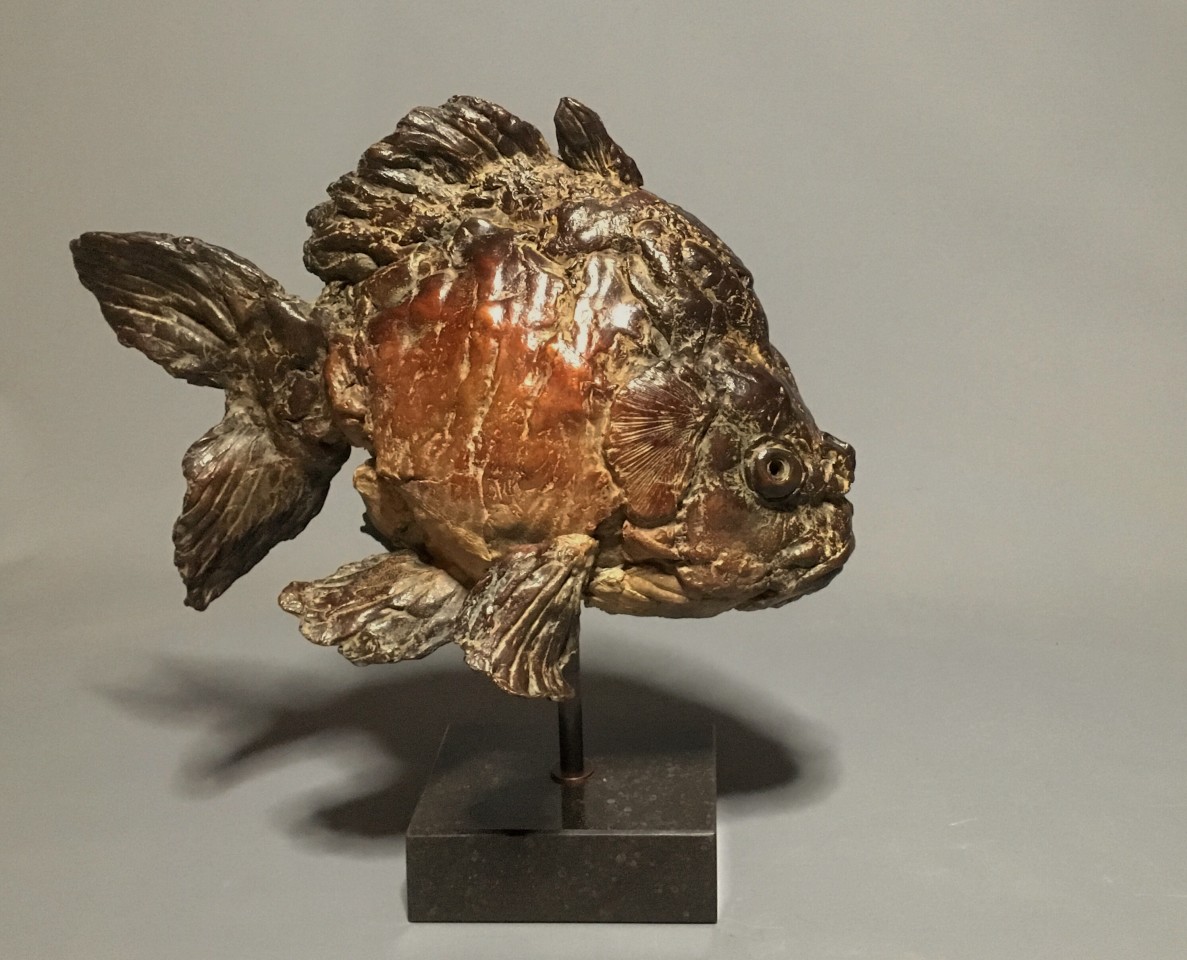 Pieter Vanden Daele, Cyrillus, 2019