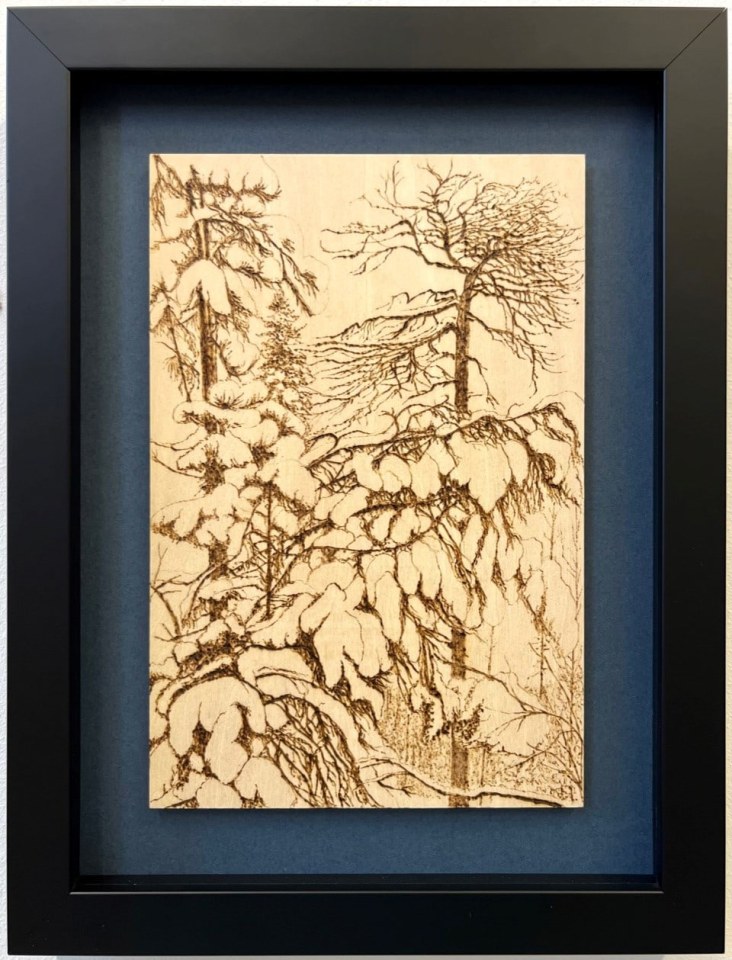 Alex Gough, Jäätyneitä Puita (Frozen Trees), 2024