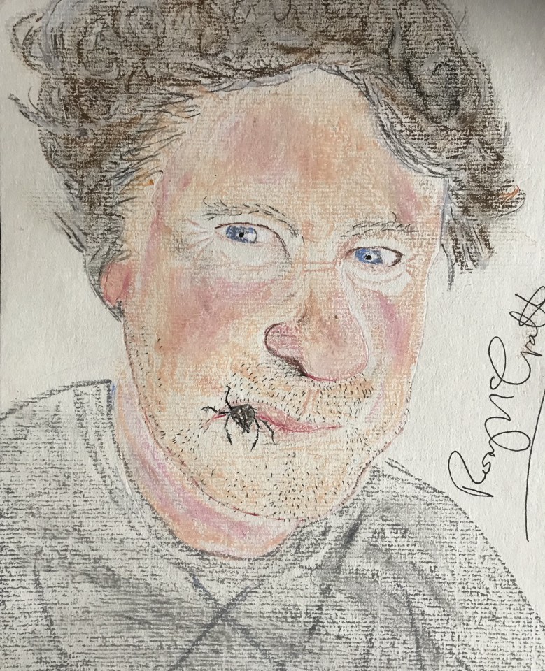 Rory McGrath, House spider- tegenaria domestica- attempts to penetrate my mouthparts, 2019