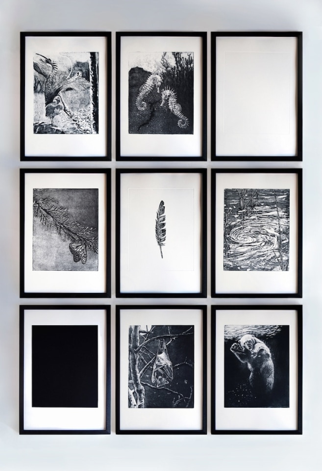 Nicole Wassall, Lyrebird, 2023