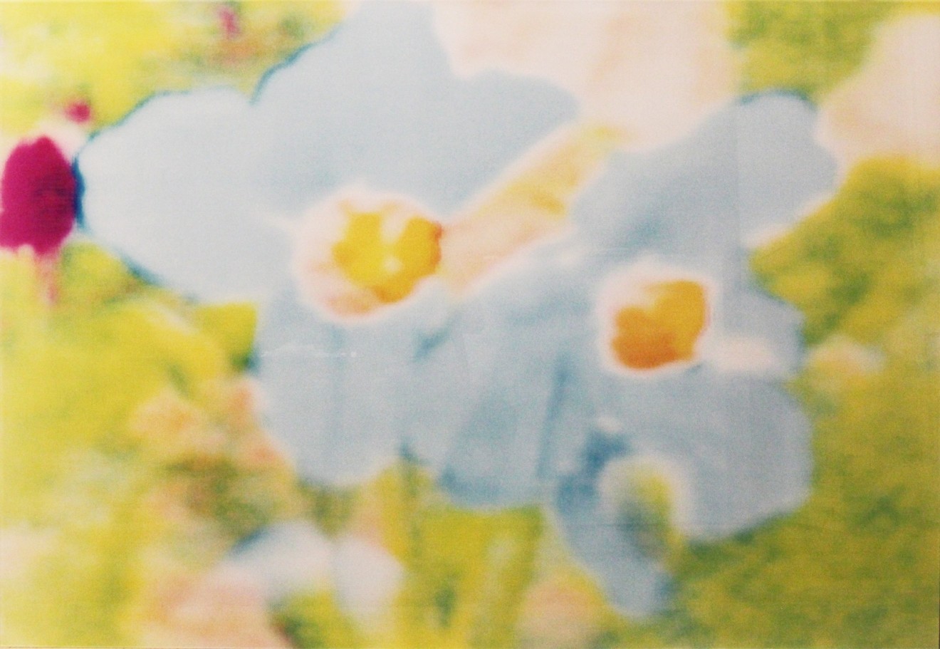 Annelies Štrba, From Dawa An II, Blue Flowers on Green Background, 2001