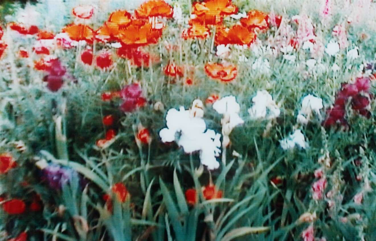 Annelies Štrba, An 5 (The Lost Garden), 1999