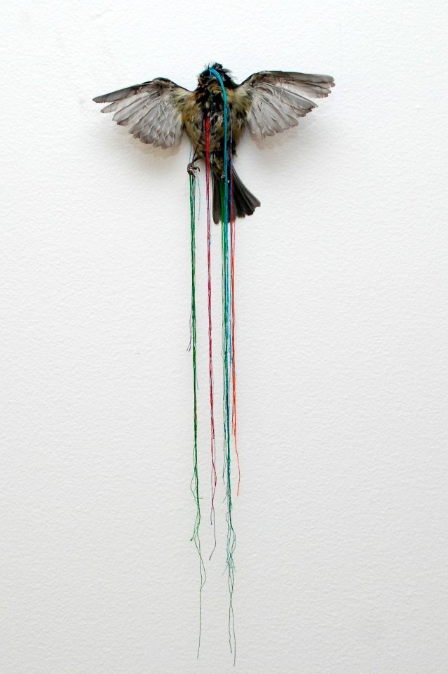 Penny Lamb, Untitled (bird), 2006