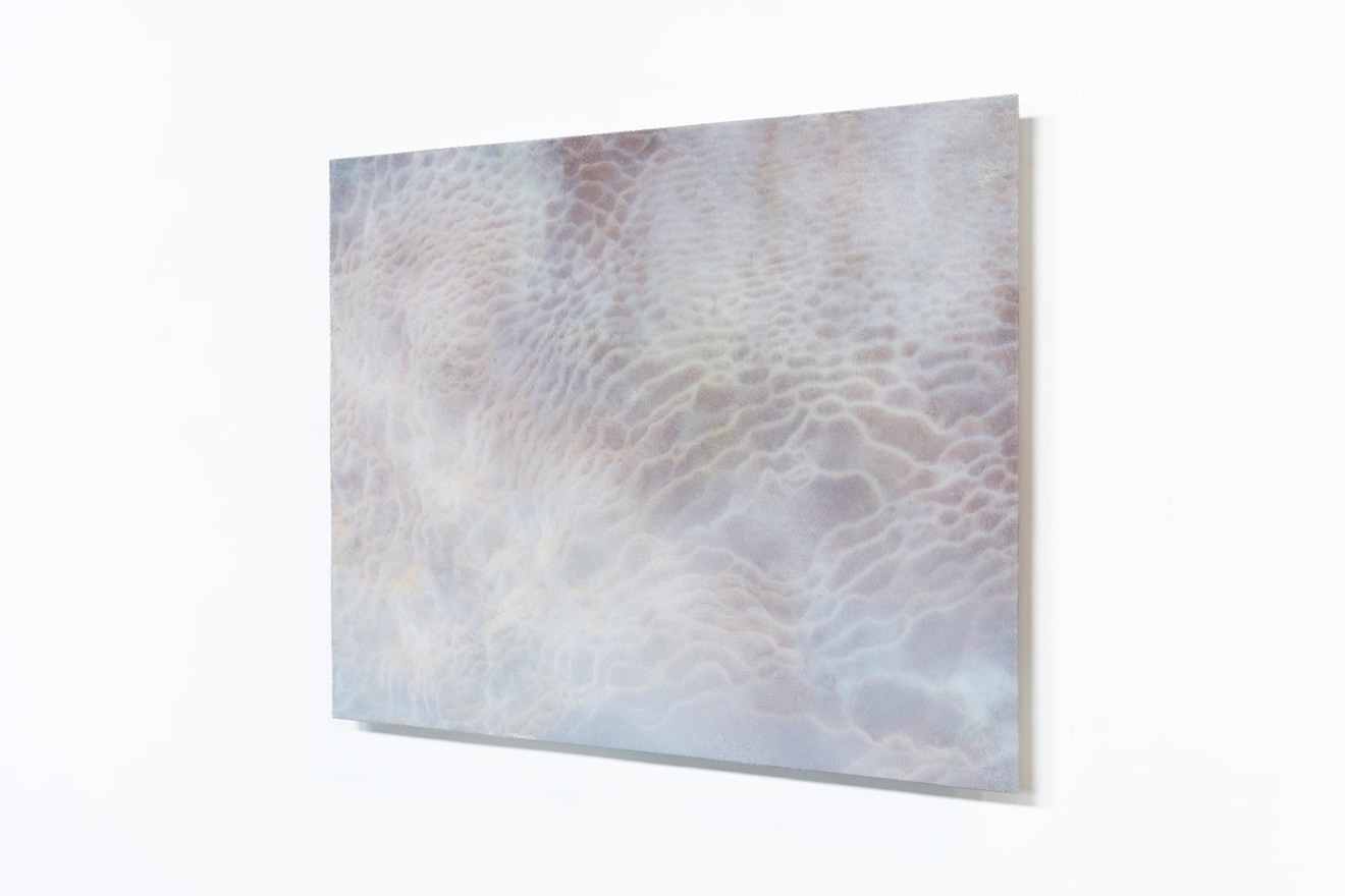 Elizabeth Thomson, Tatio XII, 2017
