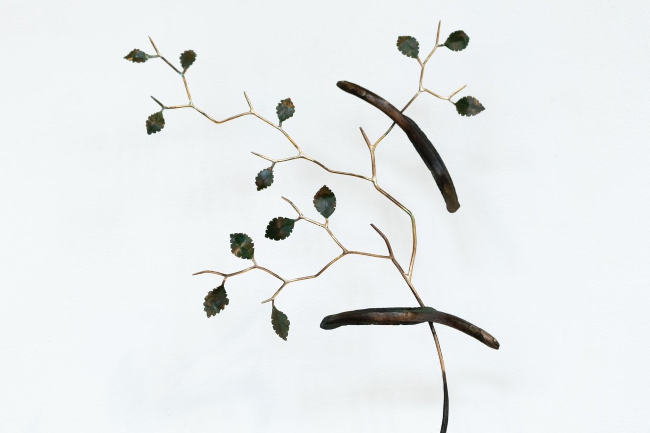 Bing Dawe, Still Life - Container with Tunariki and branches Beech and Corokia, 2024