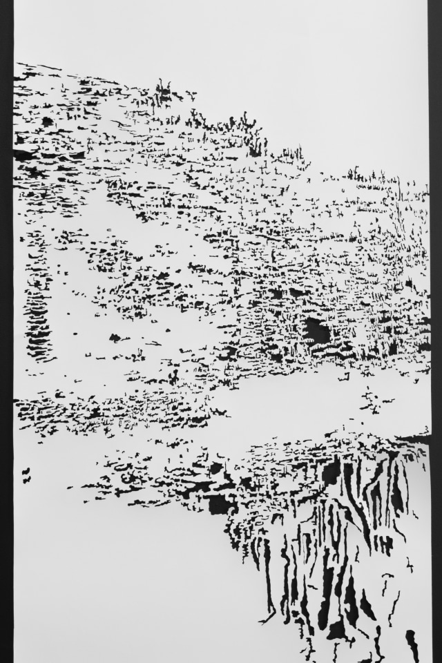 Fiona Van Oyen, Landskin, panel #3, 2017