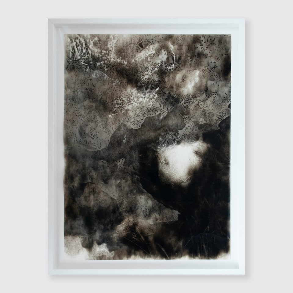 Fiona Van Oyen, Carbon Water and Air, 2022