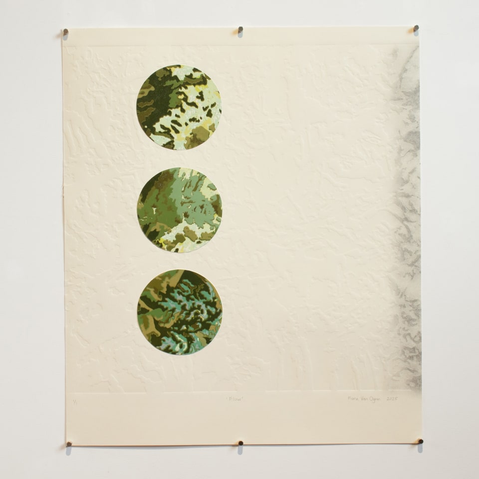 Fiona Van Oyen, Flow, 2025