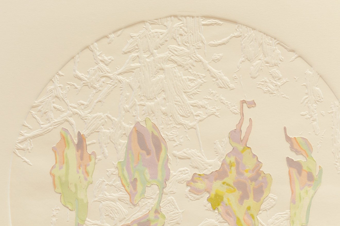 Fiona Van Oyen, Specimens, 2013-24